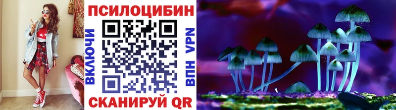 Псилоцибиновые грибы Psilocybe  Купить где  Павловск 