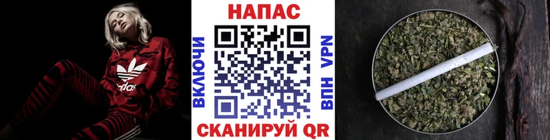 Купить где  Павловск  Бошки Шишки VHQ 